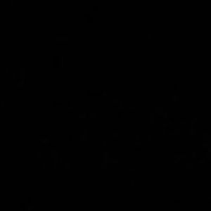 Meet your Posher, Gabby